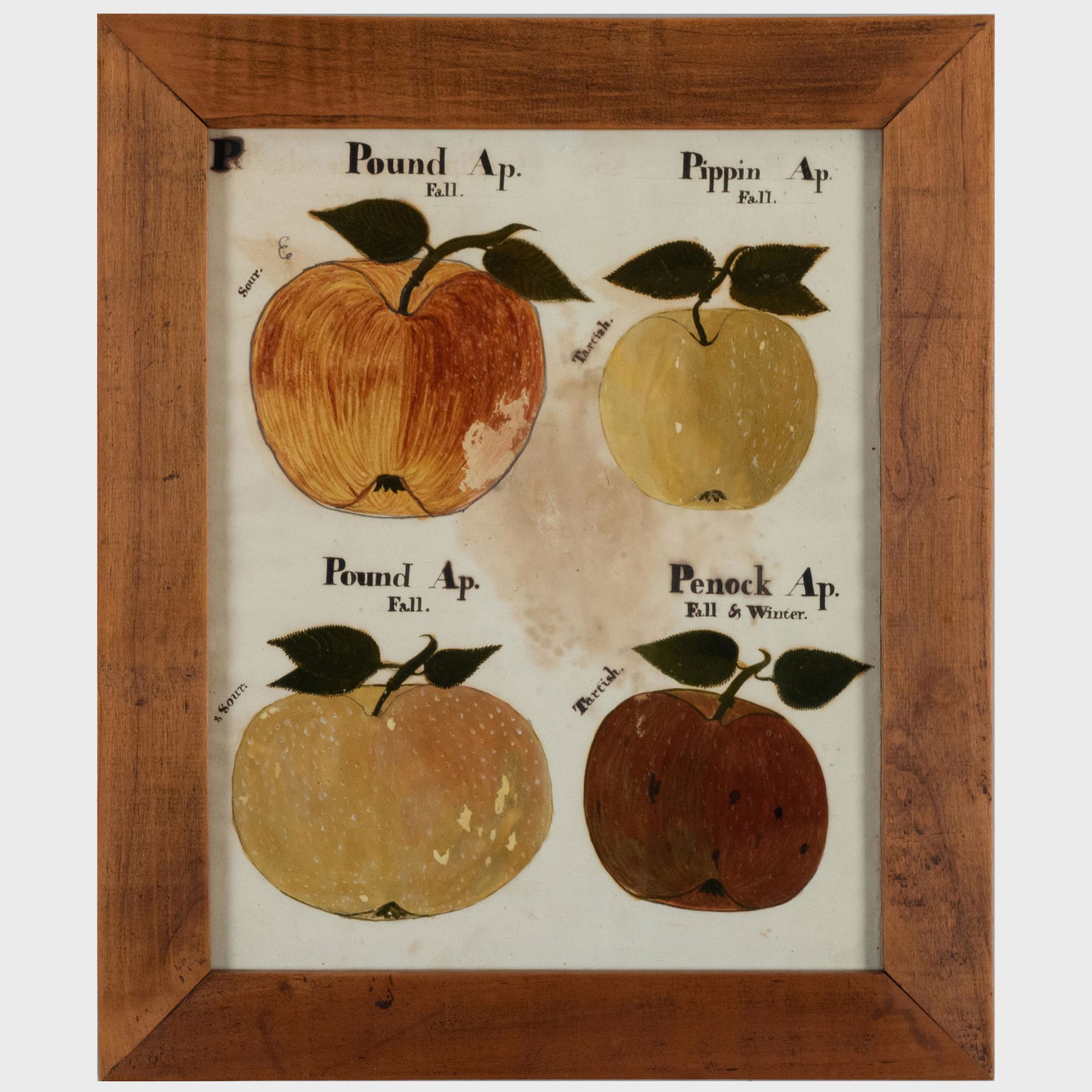 American School: Apples: A Group of Three (1 of 15)
