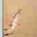 item-136976770=12