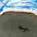 item-136977224=13
