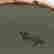item-136977224=15