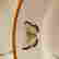 item-136992044=6