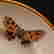 item-136992044=8