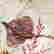 item-136992057=6
