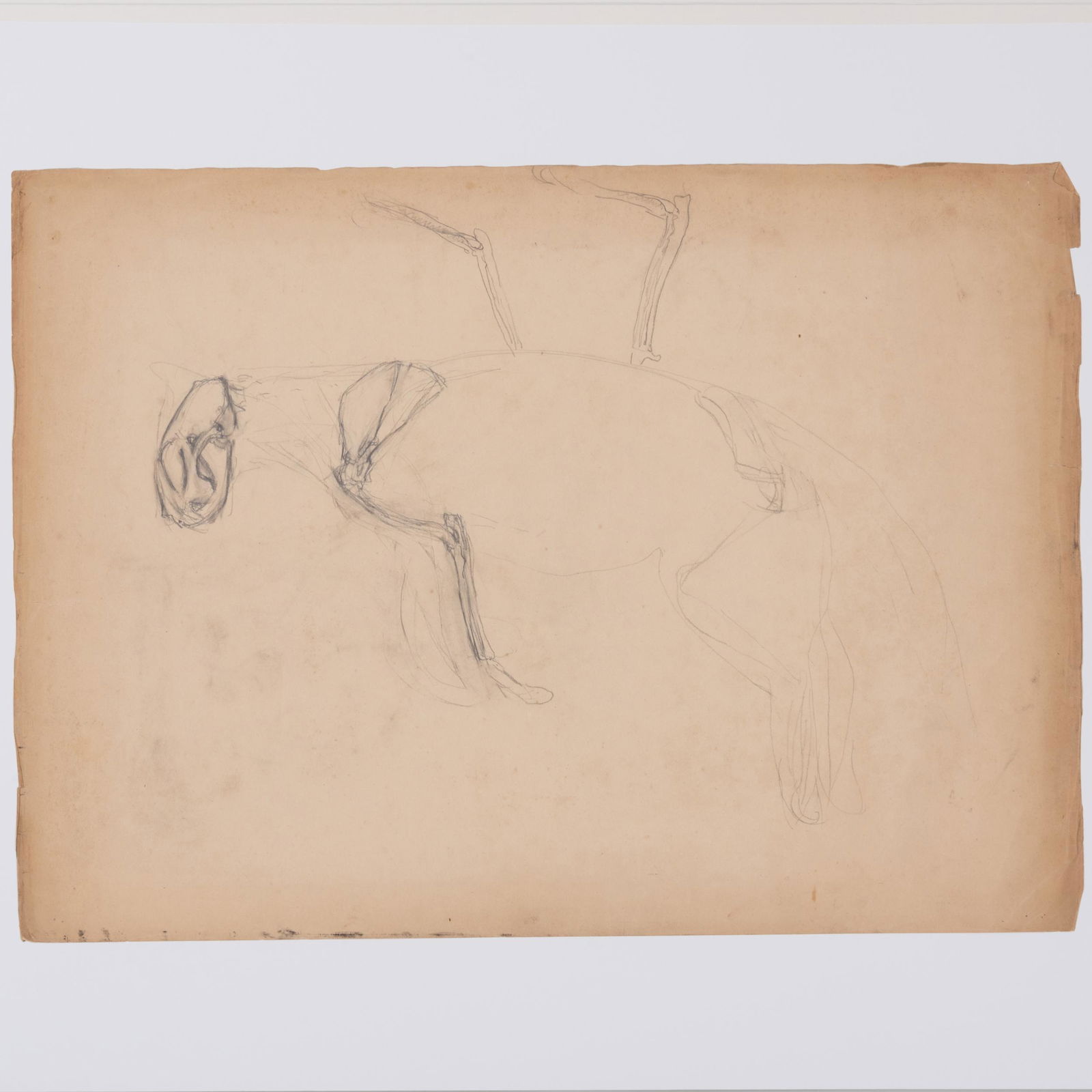 Henri Matisse (1869-1954): Cheval esquisse (1 of 4)