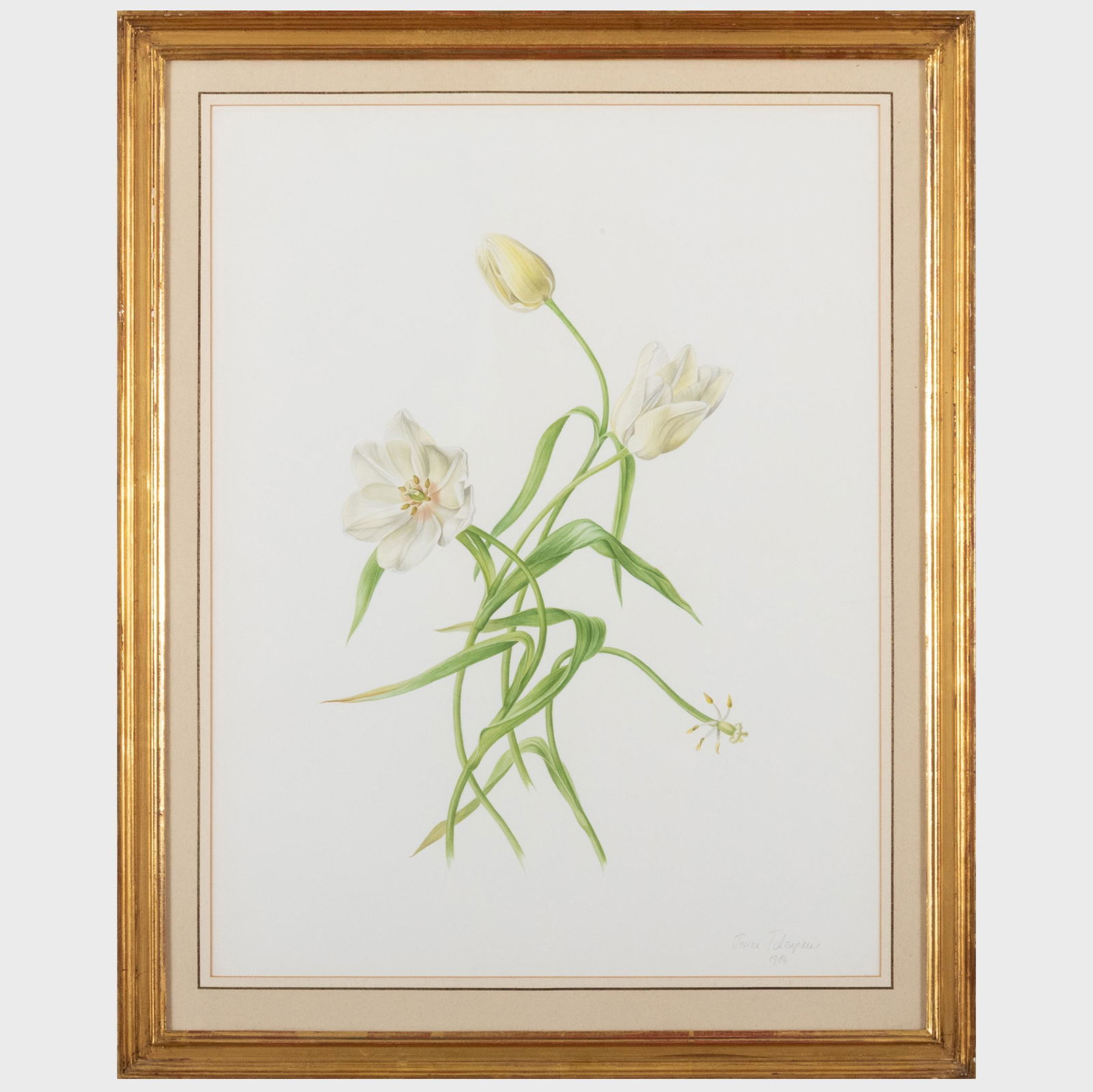 Jessica Tcherepnine (b. 1938): French Tulip (1 of 6)