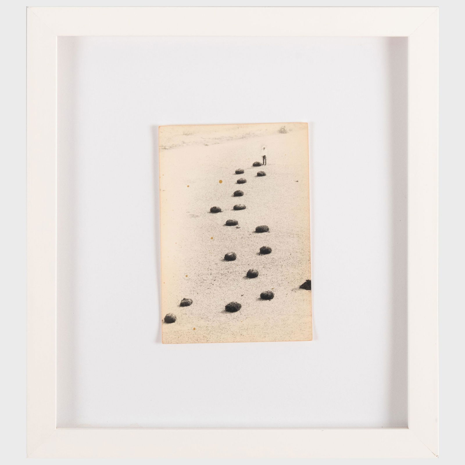 Masao Yamamoto (b. 1957): Nakazura (1 of 4)