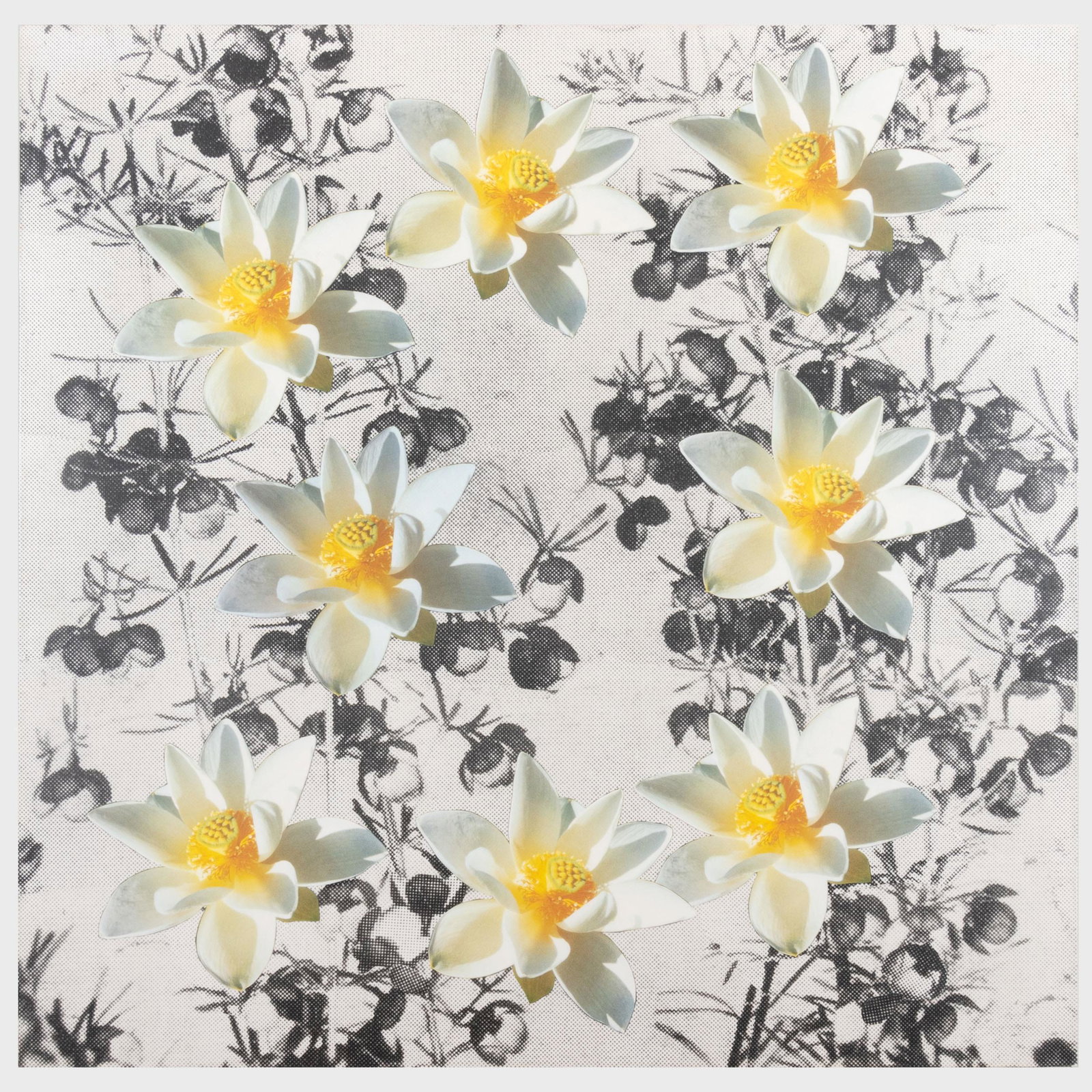 Peter Dayton (b. 1955): Untitled (1 of 4)