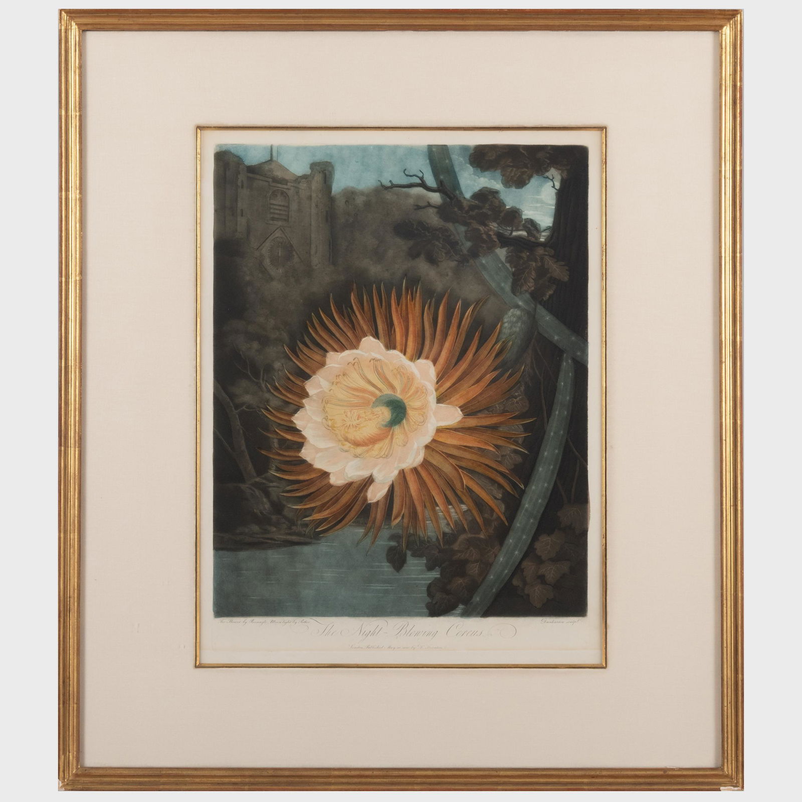 Robert John Thornton (1768-1837): The Temple of Flora: Cerrus; Kalmia; and China Limodoran: Robert John Thornton (1768-1837): The Temple of Flora: Cerrus; Kalmia; and China Limodoran Three aquatints in colors on wove paper, 1798-1807, with labels from Arthur Andersen & Co., NY. All 20 1/2 x