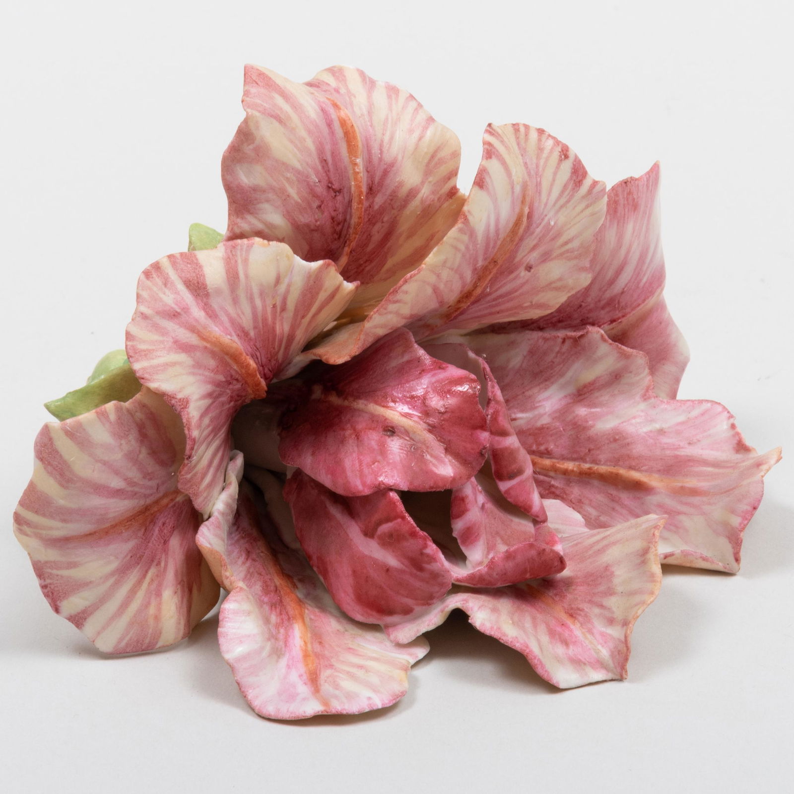 Lady Anne Gordon Porcelain Model of a Pink Blossom (1 of 8)