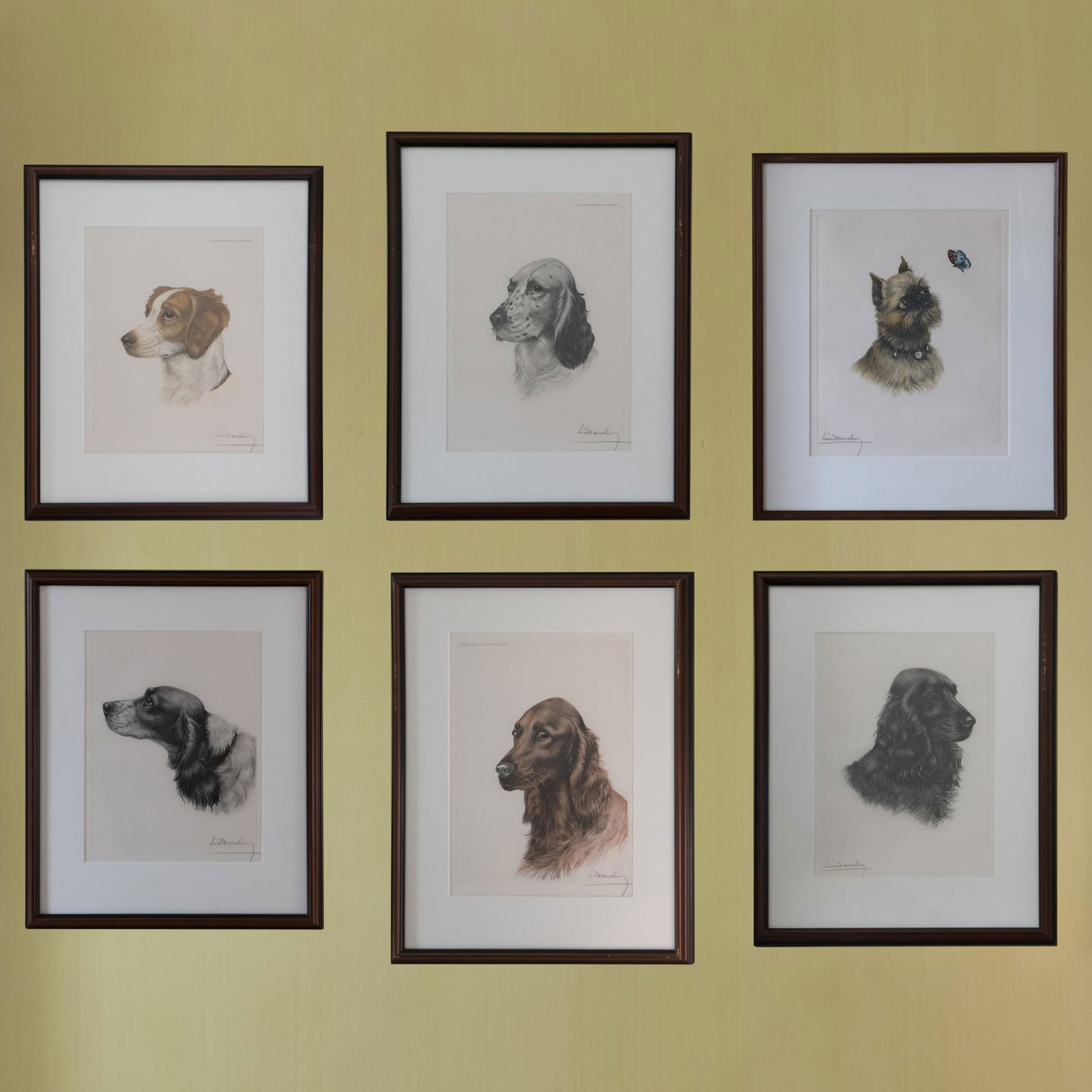 After LÃ©on Danchin (1887-1948): Dogs: Six Plates (1 of 14)