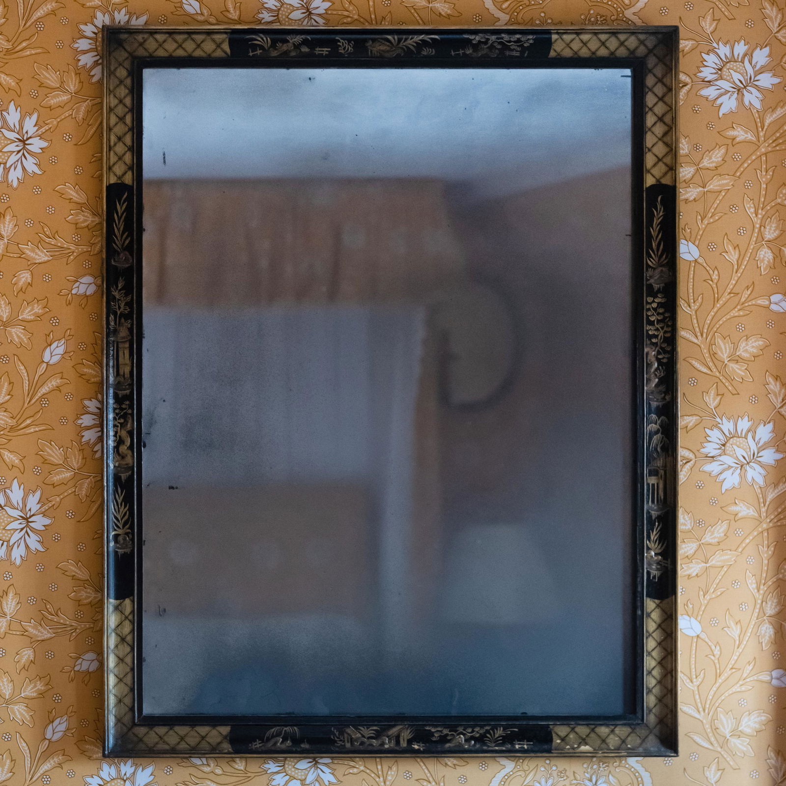 Black Painted and Parcel-Gilt Chinoiserie Decorated Mirror (1 of 6)