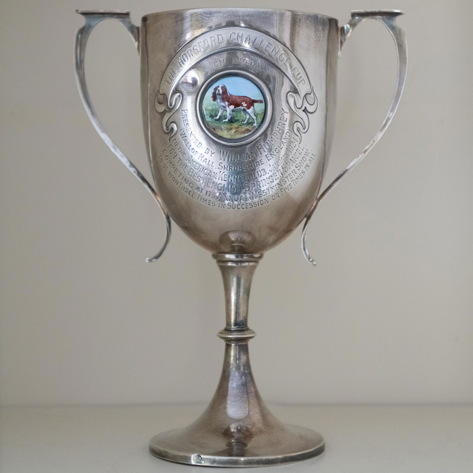 Edward VII Silver and Enamel Horsford Challenge Spaniel Trophy (1 of 9)