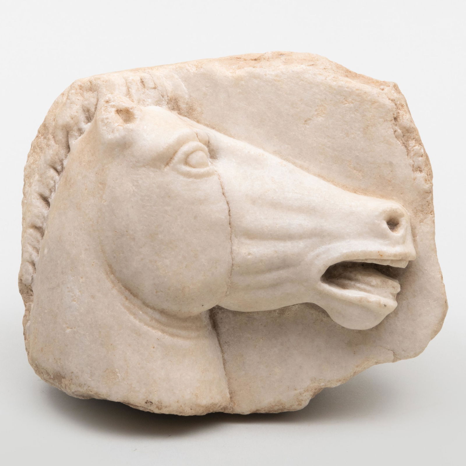 Roman Marble Fragmentary Relief Carving of a Horse Head (1 of 7)