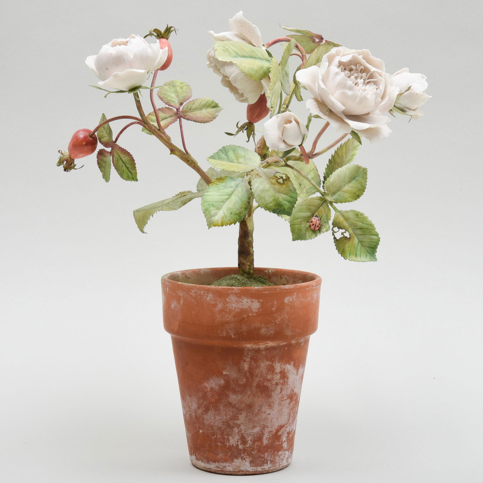 Vladimir Tole and Porcelain Model of a Rose Bush (1 of 7)