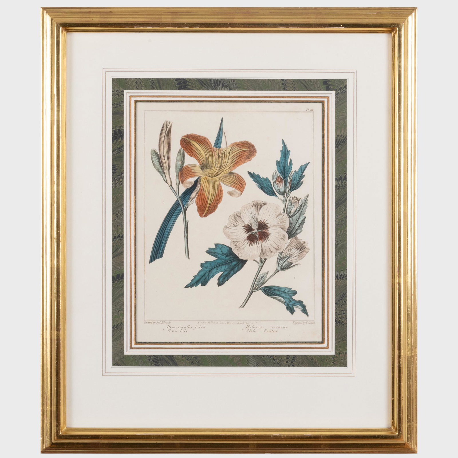 European School: Botanicals: Group of Five (1 of 8)