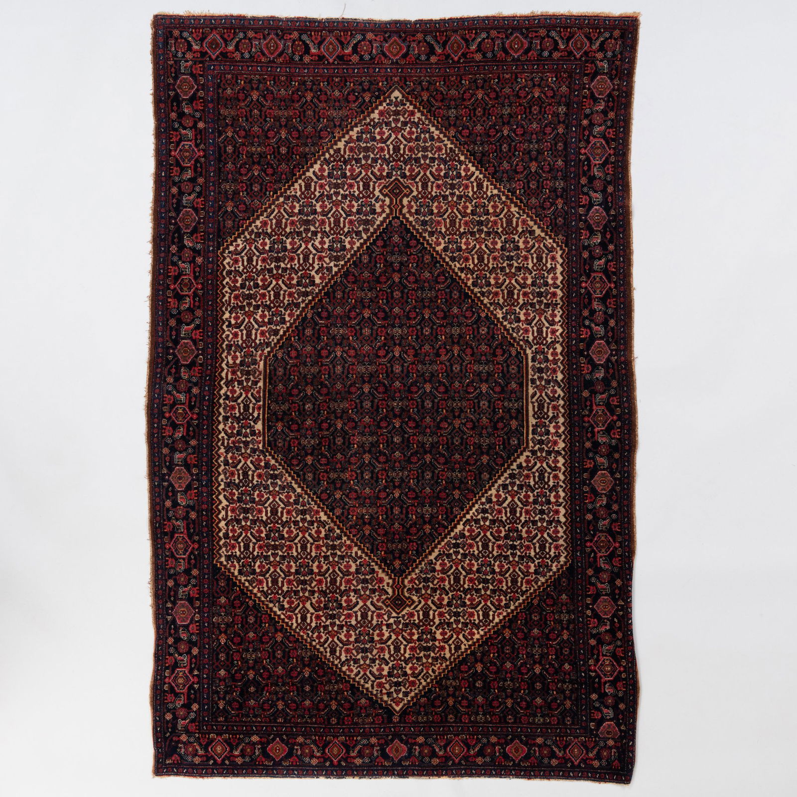 Persian Senneh Rug (1 of 6)