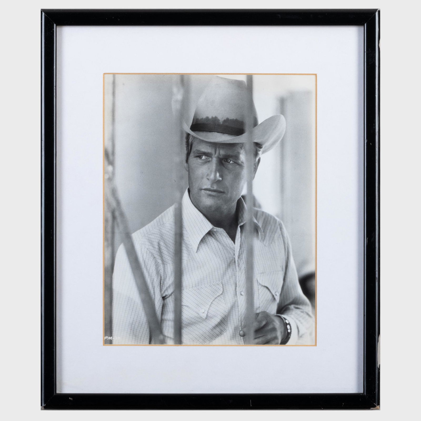 Pocket Money: Photograph of Paul Newman (1 of 7)