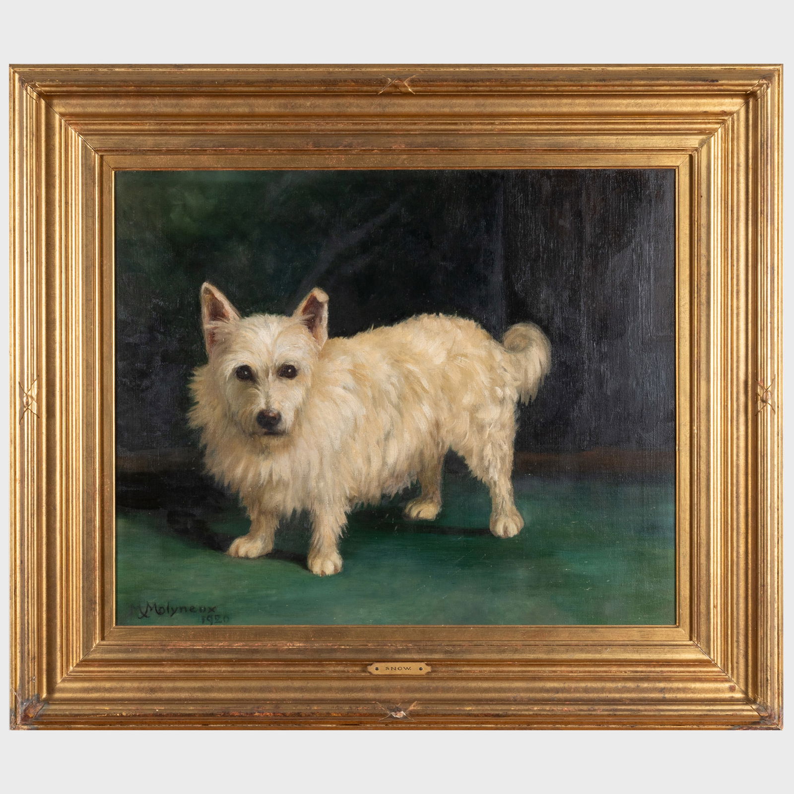 M. Molyneux: Snow (1 of 4)