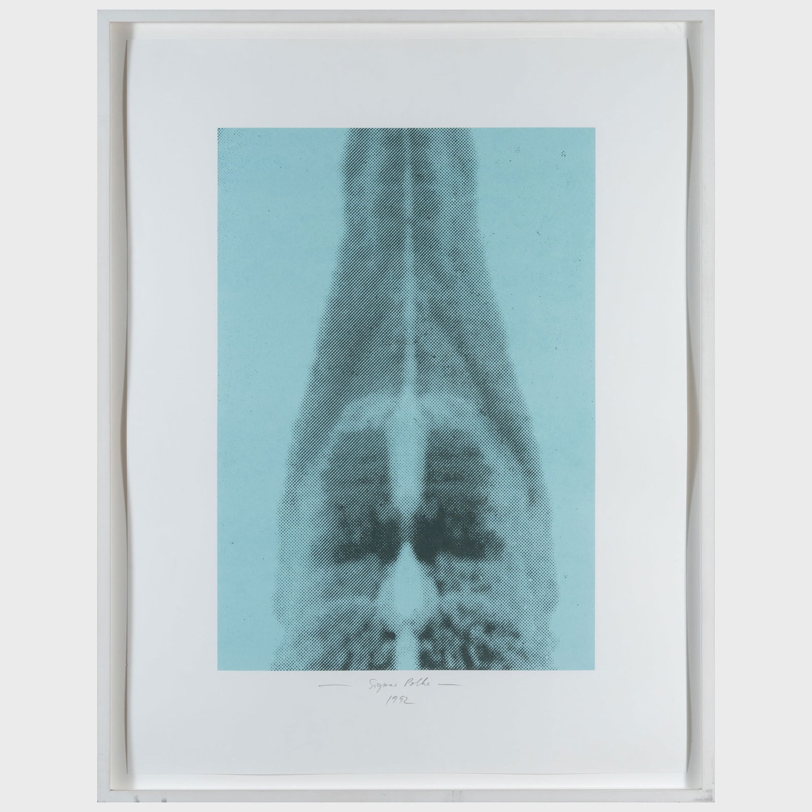 Sigmar Polke (1941-2010): Columbus - In Search of Tomorrow (1 of 2)