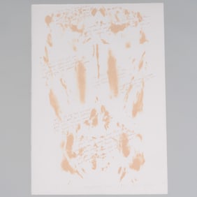 Vito Acconci (1940-2017): Touchstone