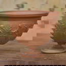 Arettine Style Pottery Krater Vase, After the Antique