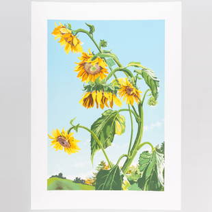 Sondra Freckelton (1936-2019): Sunflowers, State 1: Sondra Freckelton (1936-2019): Sunflowers, State 1Lithograph in colors on wove paper, signed in pencil, numbered 16/80.35 3/4 x 27 3/4 in. (sheet), unframed. 