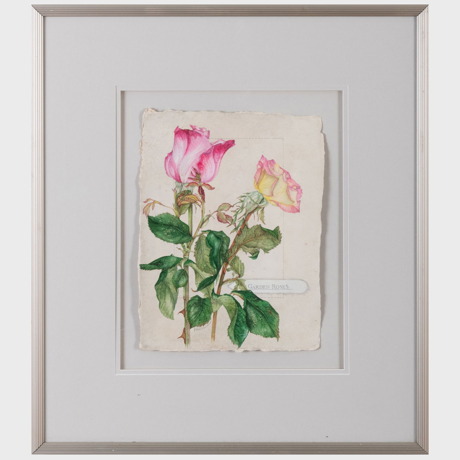 Pam Kessler (b. 1948): Garden Roses; and Garden Rose (1 of 7)