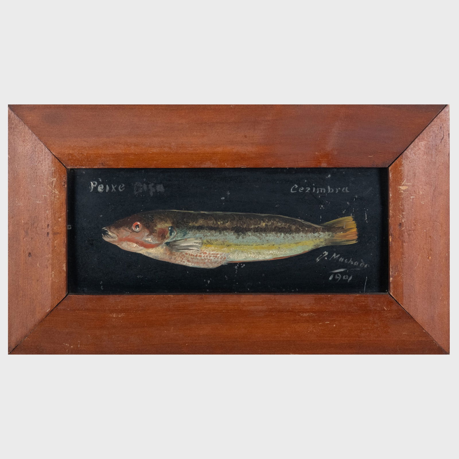 Portuguese School: Fish: Group of Five (1 of 20)