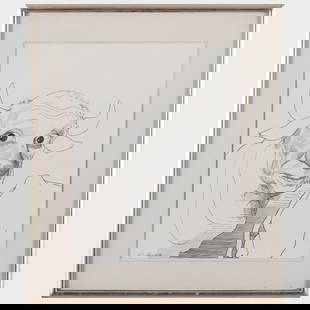 David Levine (1926-2009): Picasso: David Levine (1926-2009): Picasso Ink on paper, 1973, signed 'D. Levine' and dated in pencil, with the artist's copyright stamp, numbered 7741 and inscribed 'Collection S M Klein' on the reverse, with