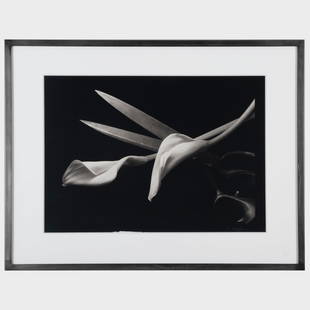 Kenro Izu (b. 1949): Still Life #125: Kenro Izu (b. 1949): Still Life #125 Platinum palladium print, 1991, printed in 1991, signed and dated lower right, signed, titled and numbered 5/10 on the artist's label on the reverse. 15 x 21 in. (