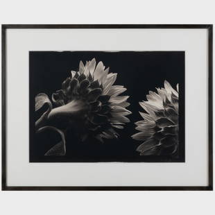 Kenro Izu (b. 1949): Still Life # 152: Kenro Izu (b. 1949): Still Life # 152 Gelatin silver print, 1991, printed in 1991, signed and dated lower right, signed, titled, dated and numbered 1/10 on the artists inkstamp on the back of the mat.