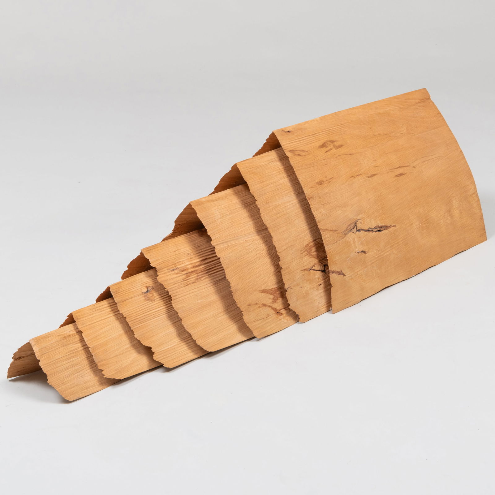 David Nash (b. 1945): Seven Beech Wafers: David Nash (b. 1945): Seven Beech Wafers Carved beech in seven parts, 1987, signed, titled and dated on the underside of the largest element. 15 x 16 x 48 in. Sold Sotheby's, NY November 10, 2004, Lot