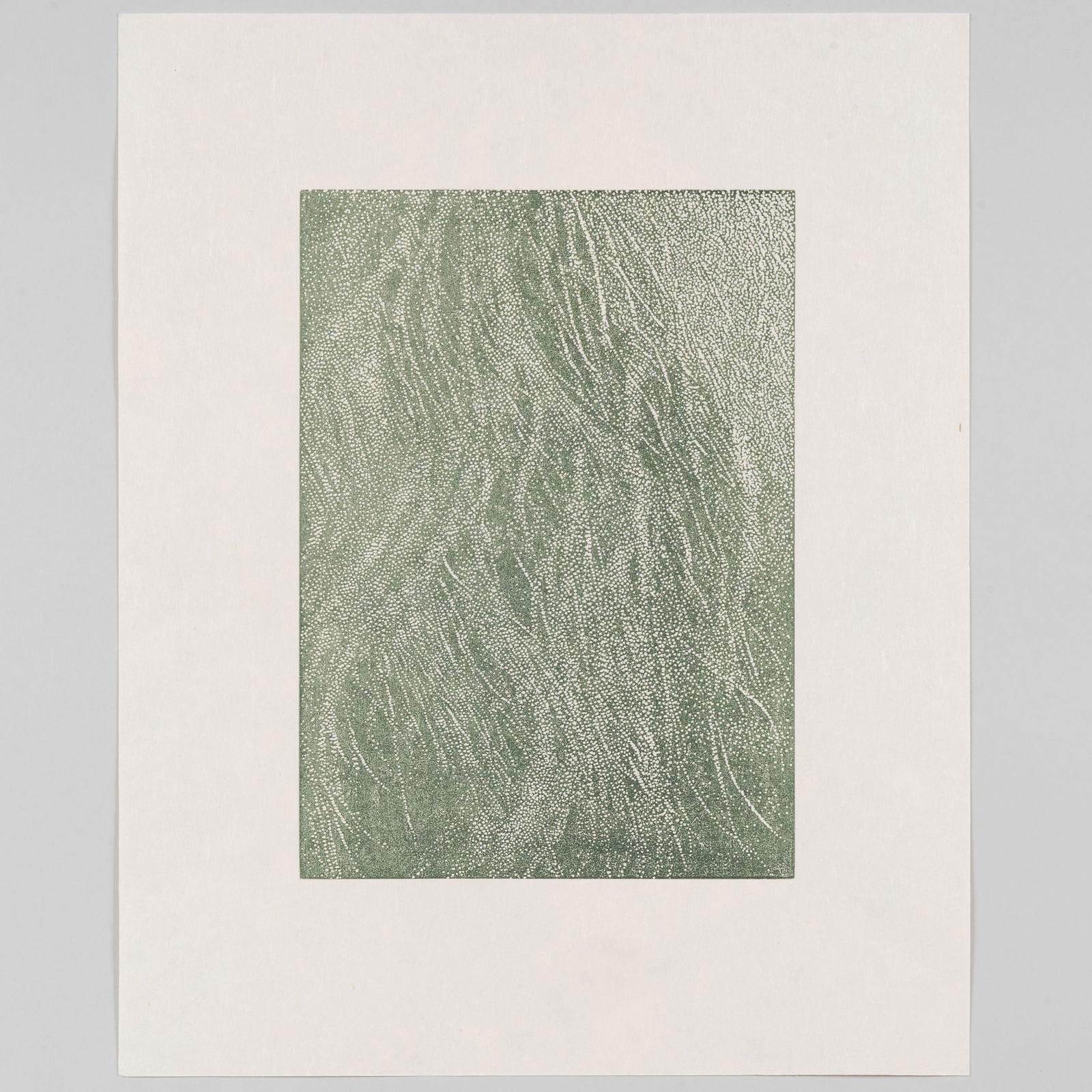 Franz Gertsch (1930-2022): Detail aus Dominique: Franz Gertsch (1930-2022): Detail aus Dominique Woodcut in green on Japan, signed in pencil, numbered I/XII; together with 20th Century School: Untitled, color photograph, indistinctly signed and numb