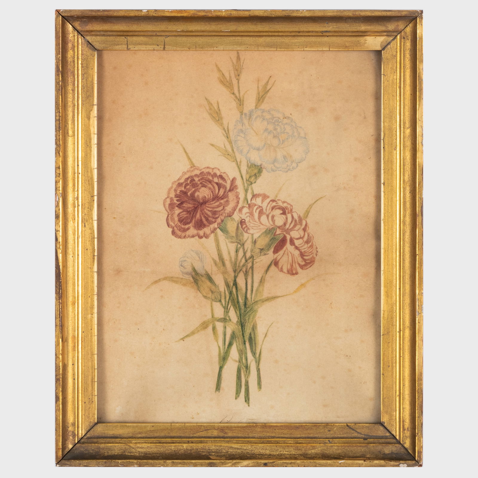 European School: Botanicals: Group of Four (1 of 5)