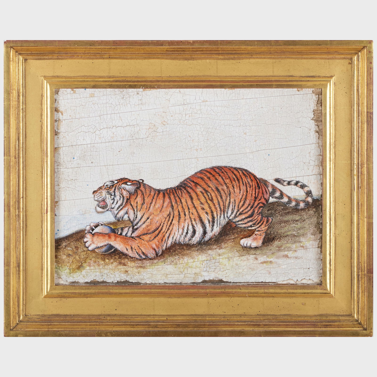 20th Century School: Tiger (1 of 3)