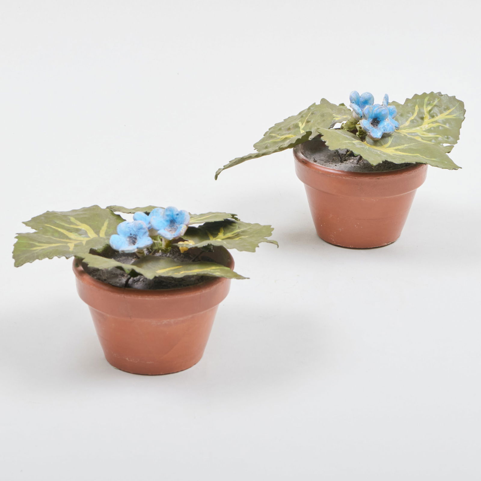 Pair of Tole and Terracotta Models of Forget-Me-Nots: Pair of Tole and Terracotta Models of Forget-Me-Nots 3 1/4 x 5 1/2 in. diam. Property from the Jordan Saunders Collection