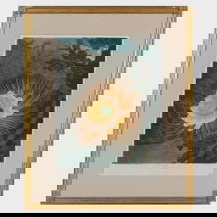 Robert John Thornton (1768-1837): After Philip Reinagle (1749-1833) and Abraham Pether (1756-1812):: Robert John Thornton (1768-1837): After Philip Reinagle (1749-1833) and Abraham Pether (1756-1812): The Night-Blowing Cereus, from The Temple of FloraAquatint and mezzotint in black with