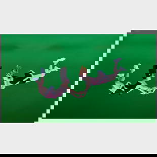 Luis Gispert (b. 1972): Untitled (Fluid Exchange): Fujiflex print mounted on aluminum, 2002, signed 'L Gispert', dated and numbered 4/5 on the reverse. 40 x 70 in., unframed