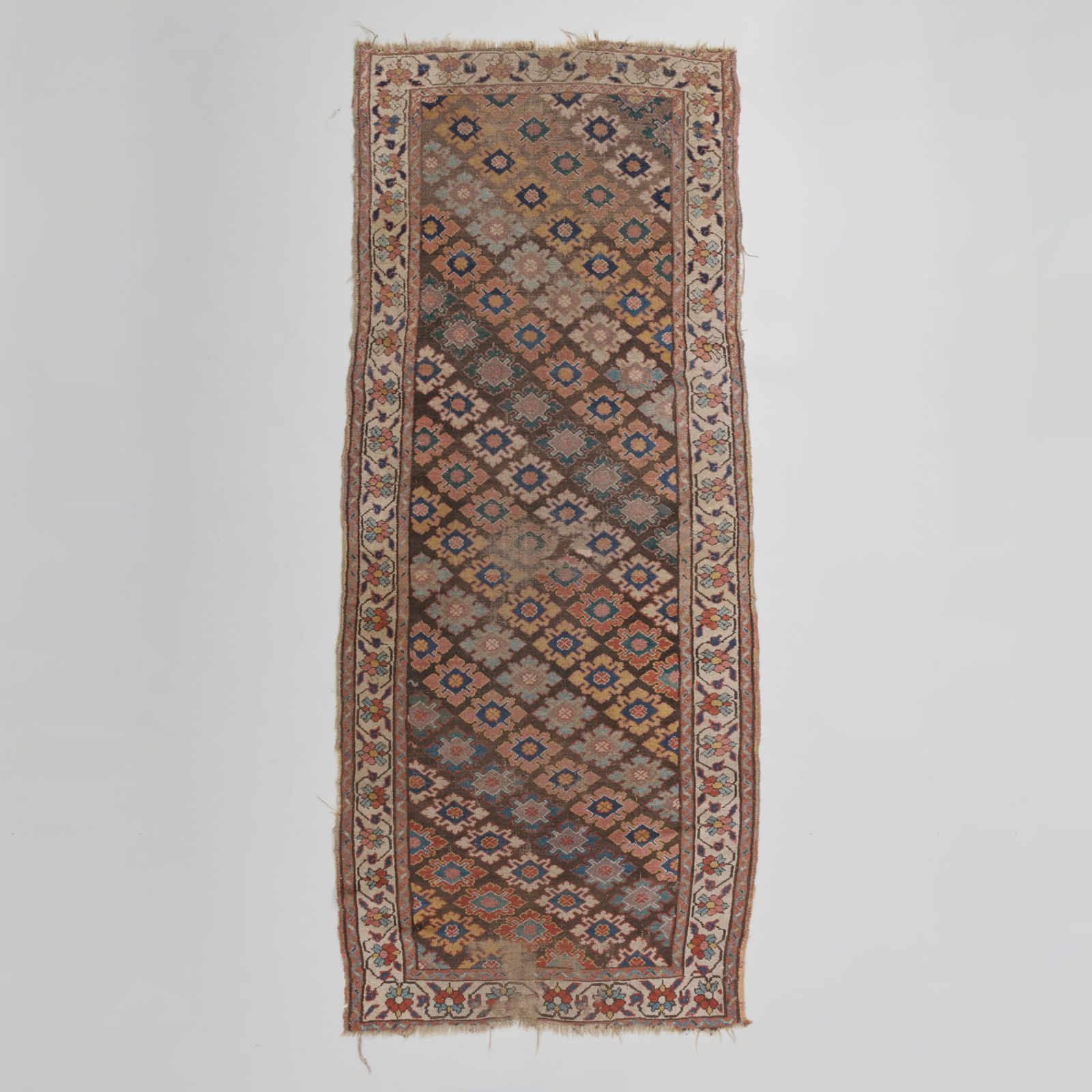 South Caucasian Runner (1 of 8)