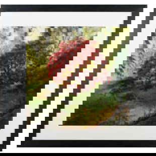 Lynn Geesaman (1938-2020): Crarae Glen Garden, Scotland: Lynn Geesaman (1938-2020): Crarae Glen Garden, Scotland Chromogenic print, 1994; together with Joseph Holmes (b. 1952): Cottonwood, Escalante, Utah 1979, Epson pigment print, 1979, printed 2003, signe