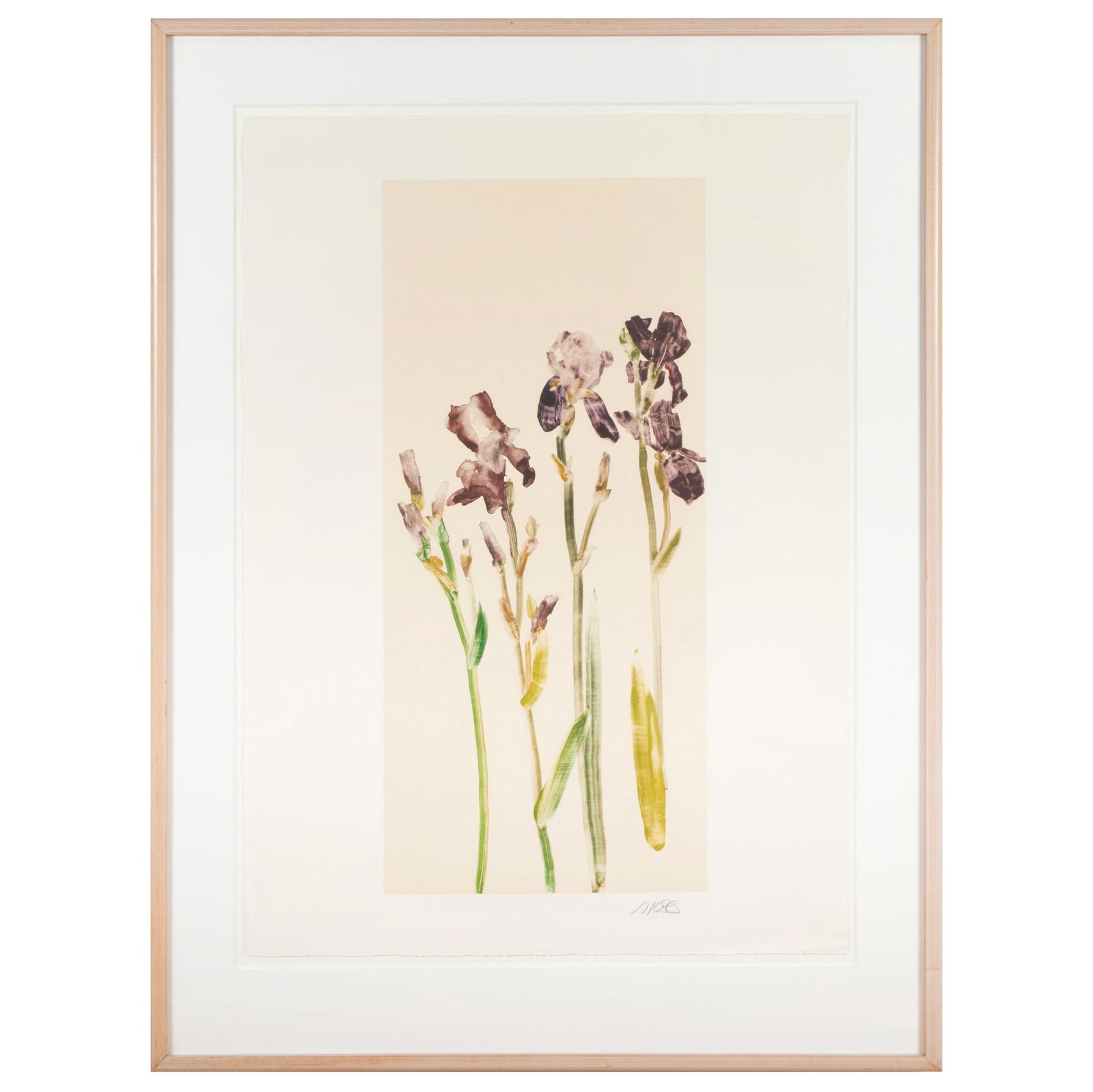 Forrest Moses (b. 1934): Irises; Iris F97/13; Iris 98/15; Iris 98/08; and Iris: Forrest Moses (b. 1934): Irises; Iris F97/13; Iris 98/15; Iris 98/08; and Iris Five monotypes on Japon collE, 1991-1999, all signed in pencil, three with labels from Nicholas Rizzo, Fine Arts Inc., Ch