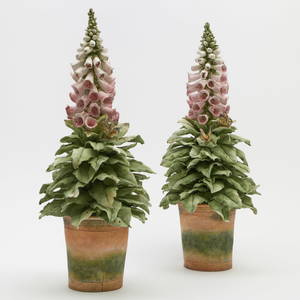 Pair of Clare Potter Porcelain Foxglove Topiaries