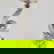 item-208137575=7
