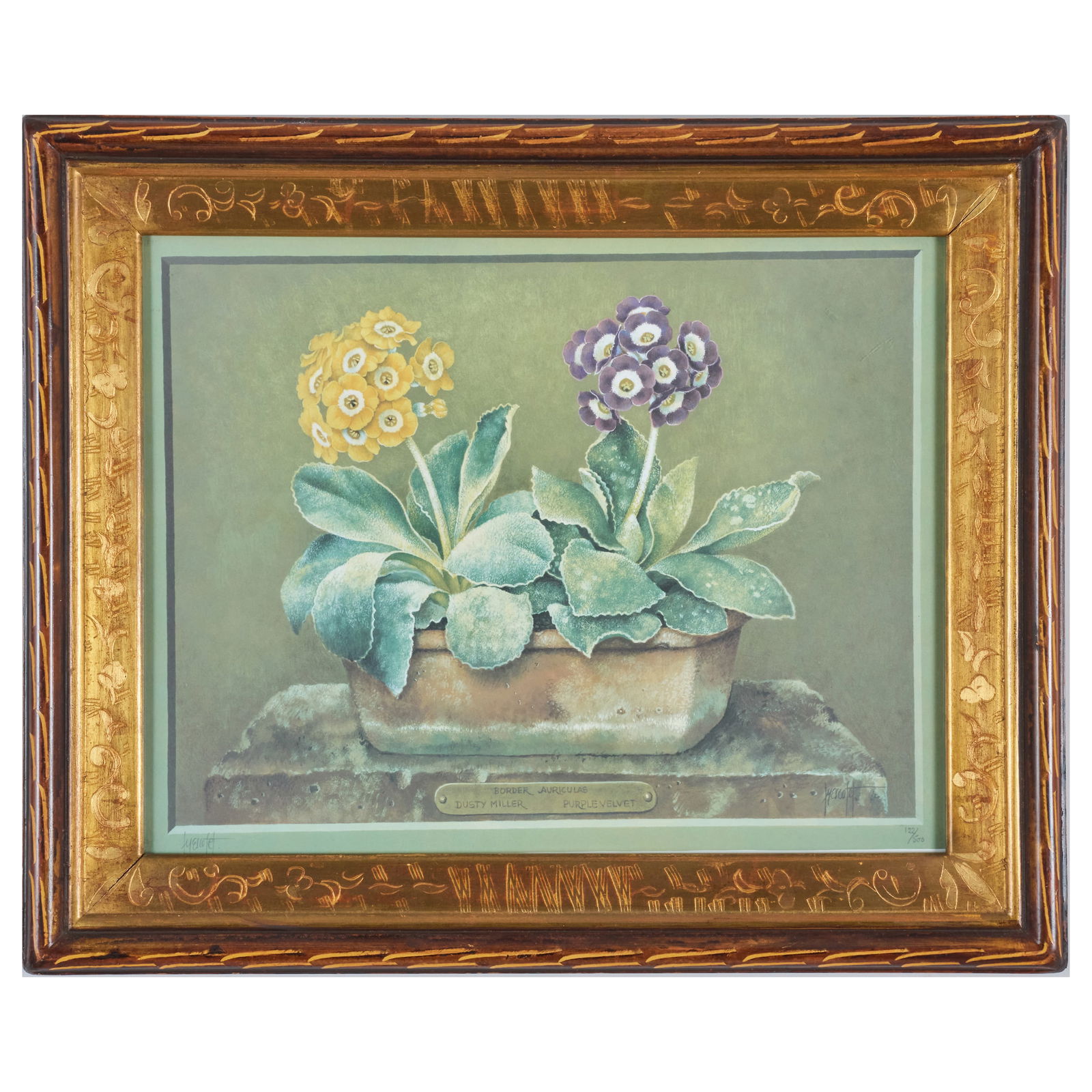 Jose Escofet (b. 1930): The Auricula: Five Plates (1 of 20)