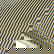 item-210007044=5