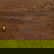 item-210007075=7