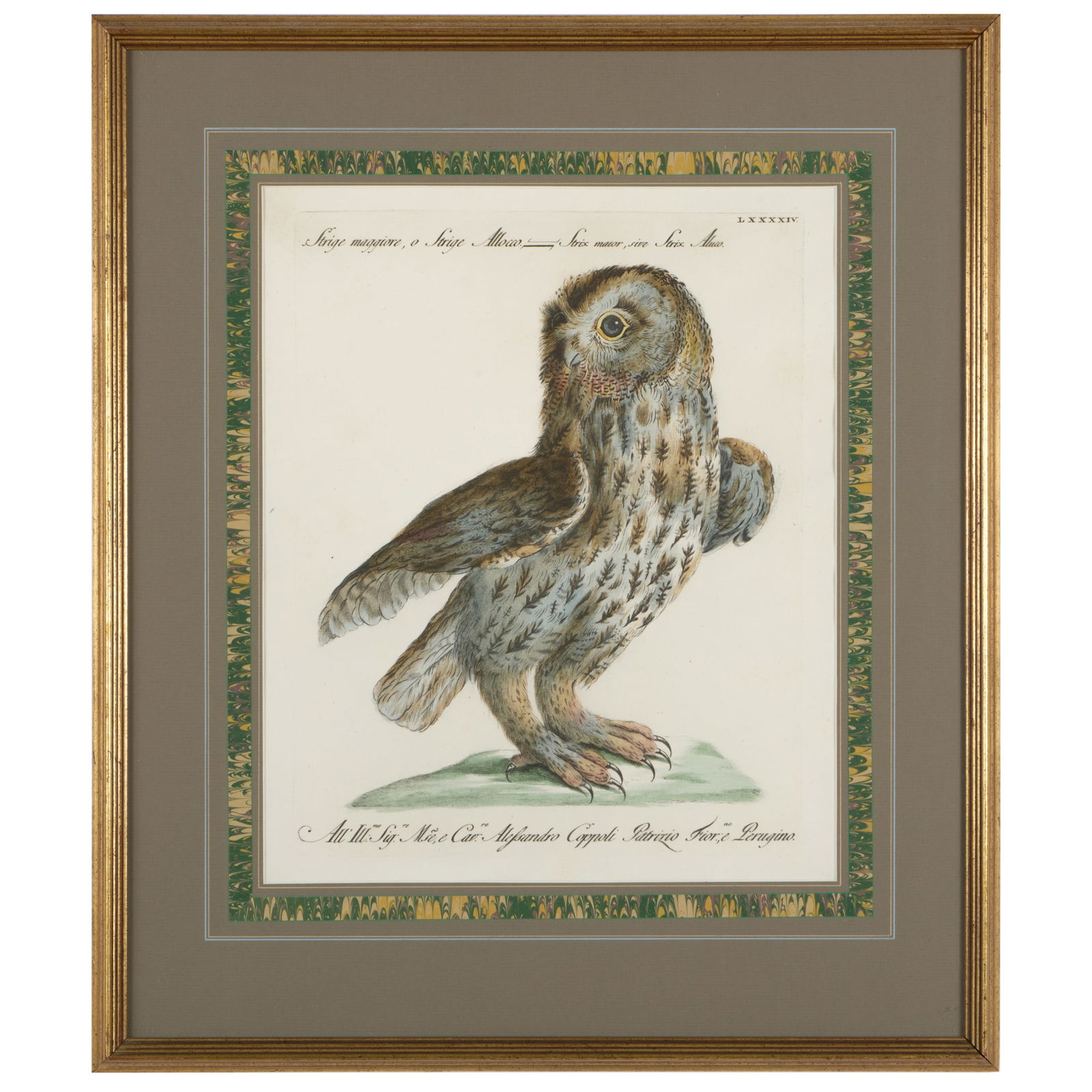 Francesco Saverio Manetti (1723-1784): Soria Naturale: Two Plates (1 of 2)