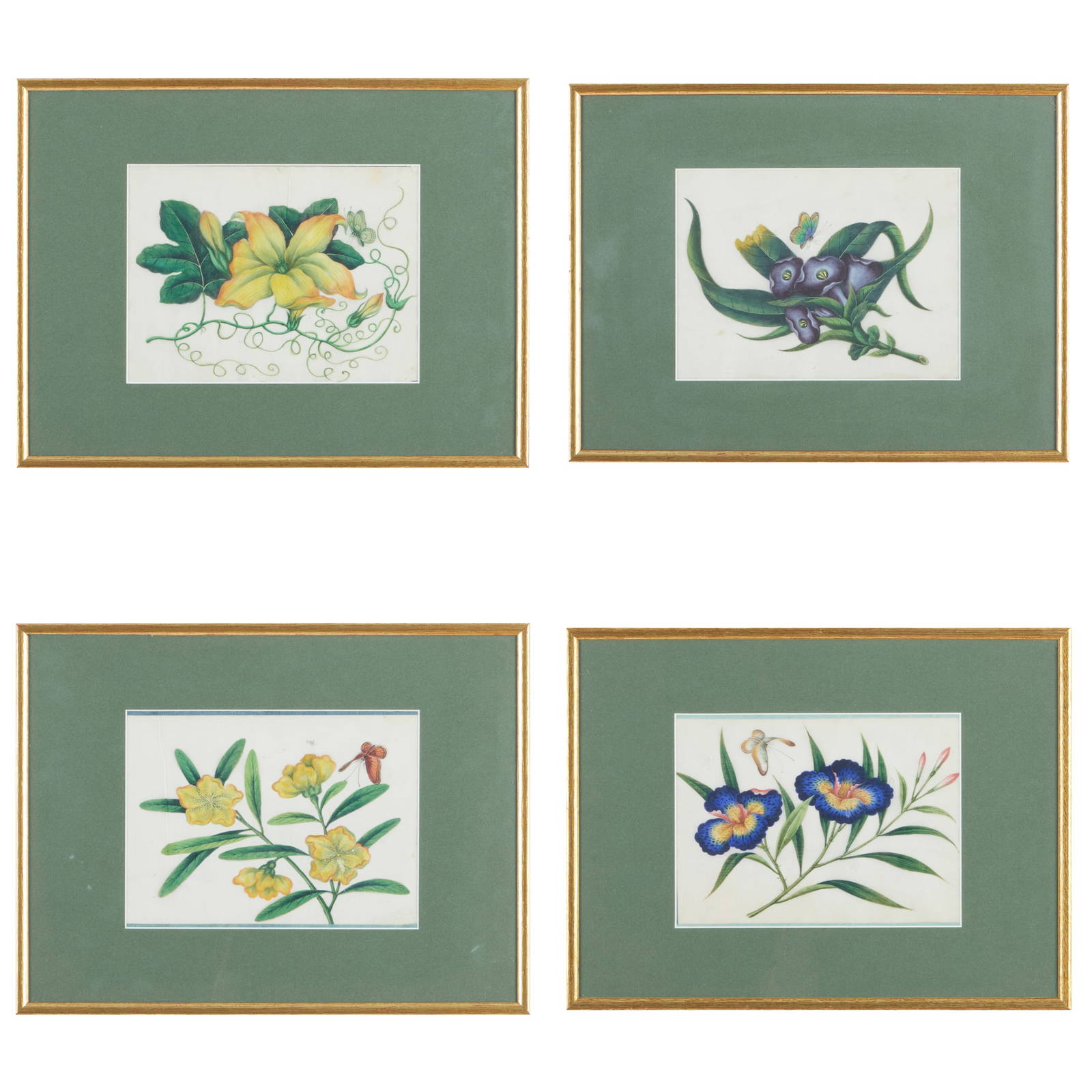 Set of Four Chinese Botanicals