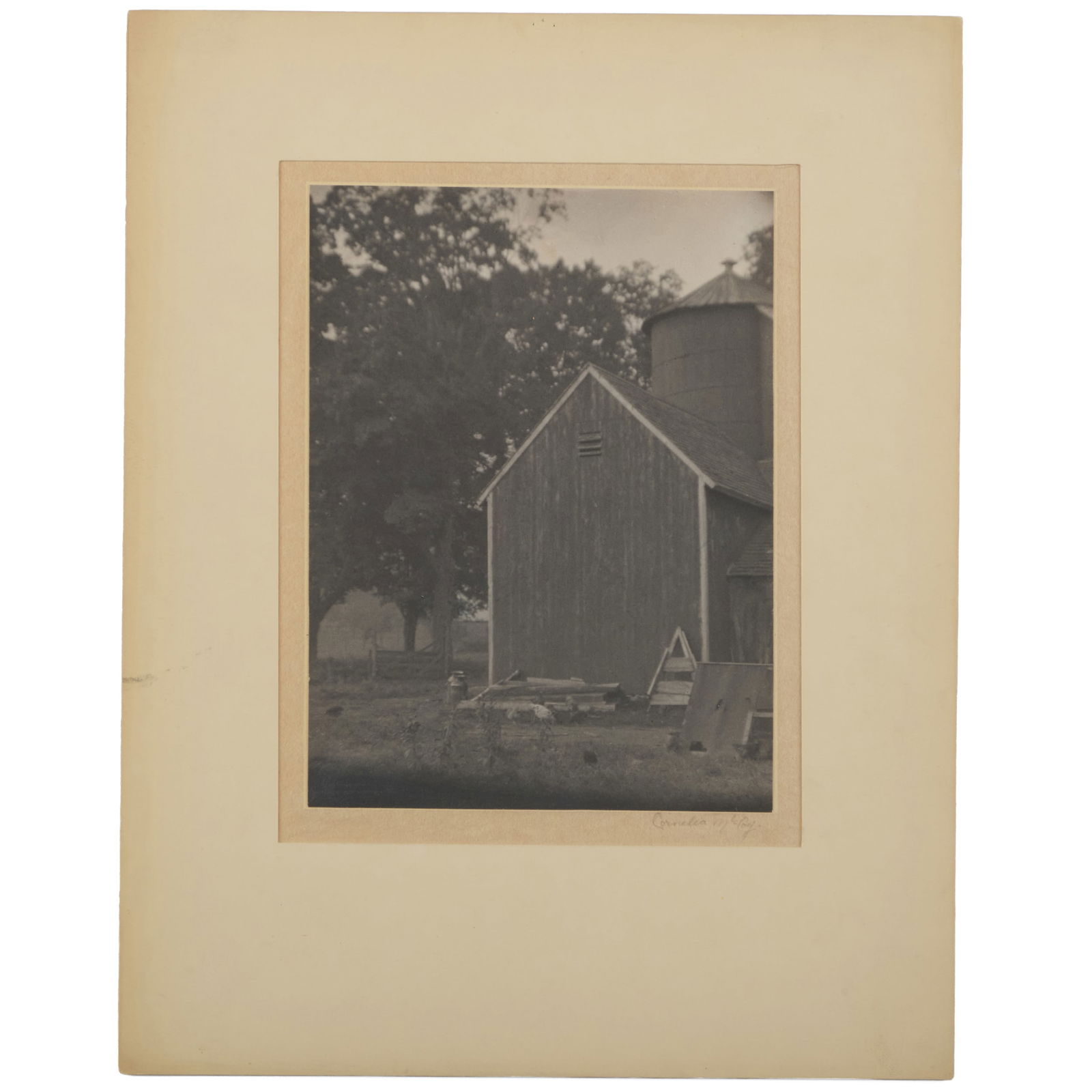 Cornelia B. McCoy: Untitled (The Dairy Barn) (1 of 20)