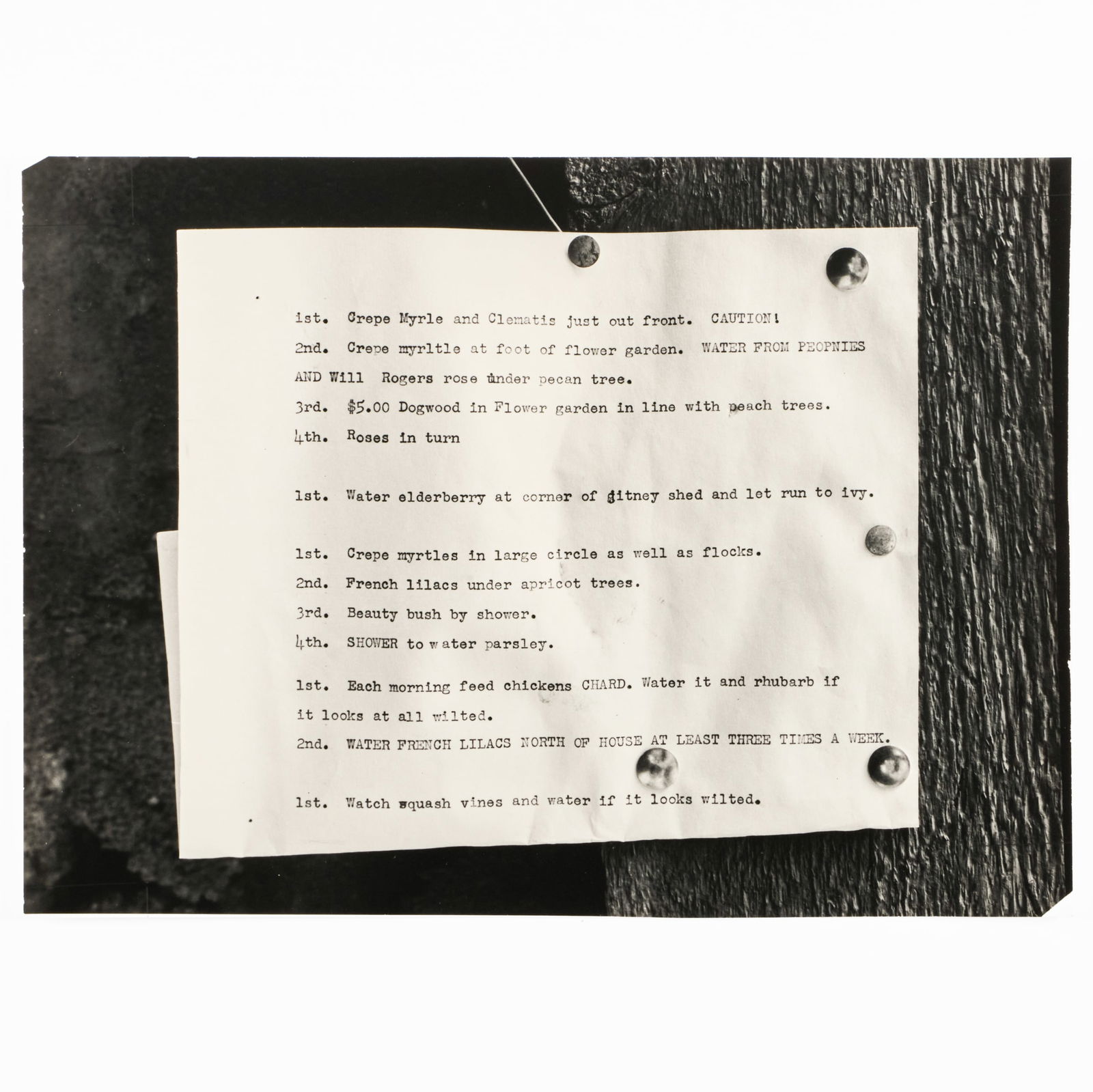 Dorothea Lange (1895-1965): Untitled (Thumbtacked Sign) (1 of 2)